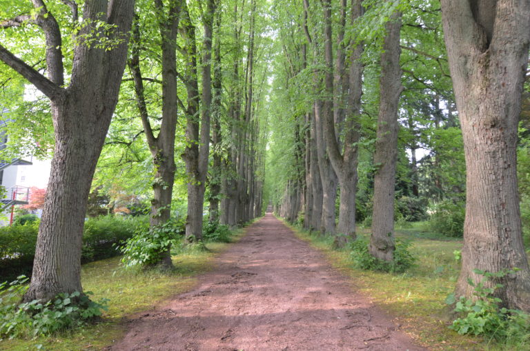 Bombergallee - Foto: Max. Peters.