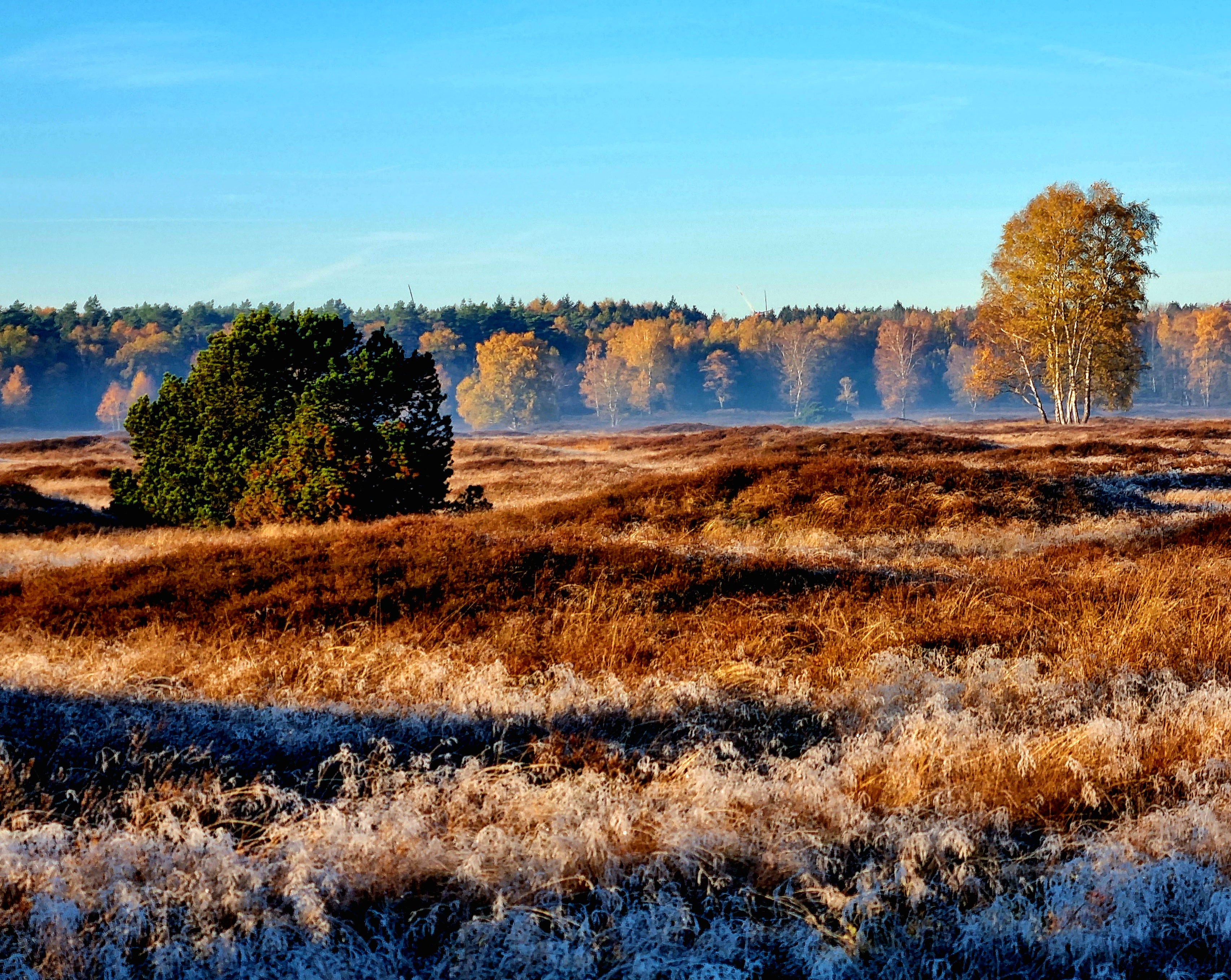 Thema und Ort passen hervorragend zusammen, denn unweit der Stadt liegt "das etwa 30 ha große Pestruper Gräberfeldt innerhalb eines Naturschutzgebietes. Mit über 530 größeren und kleineren Grabhügeln ist es die größte bronze- und eisenzeitliche Nekropole des nördlichen Mitteleuropas. Das Gräberfeld ist Teil der Straße der Megalithkultur und liegt rund 1 km westlich der Hunte; im Osten wird es vom Pestruper Moor begrenzt". (Wikipedia)